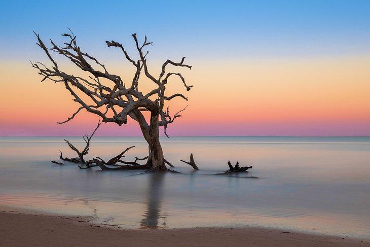 Driftwood Beach auf Jekyll Island