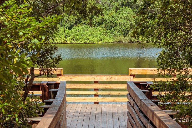Holzweg im Moccasin Lake Nature Park