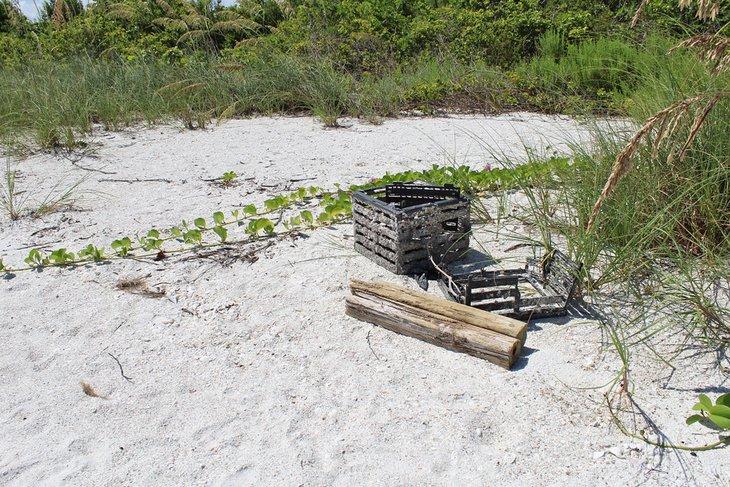 Parque Little Hickory Island