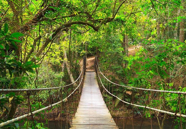 Brücke im Khao Yai