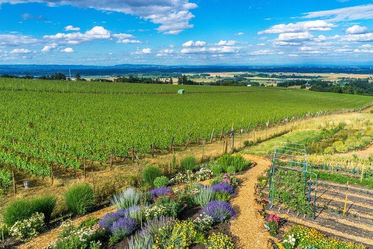 Vallée de Willamette