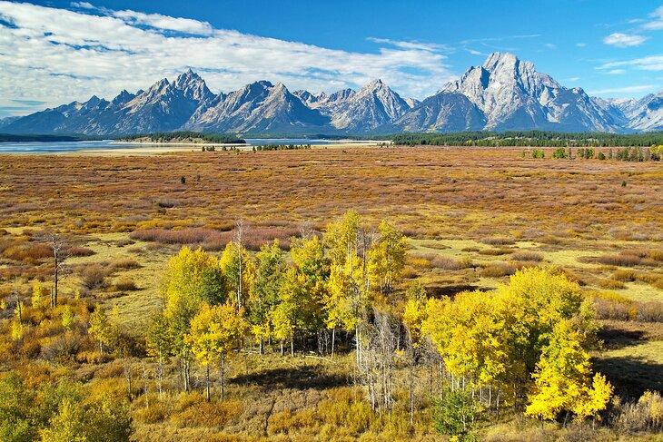 Vista de Willow Flats y la Cordillera Teton desde Lunch Tree Hill