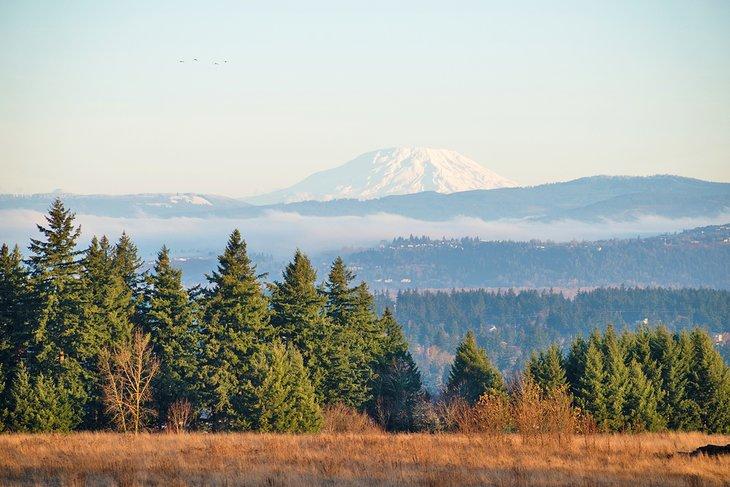 Vista del Monte St. Helens desde Powell Butte Nature Park