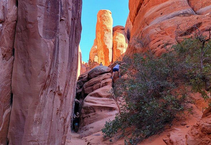 Erforschung über den Sand Dune Arch hinaus