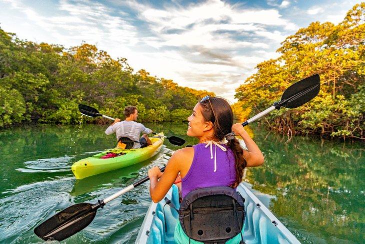 Kajak-Tour in den Mangroven von Islamorada