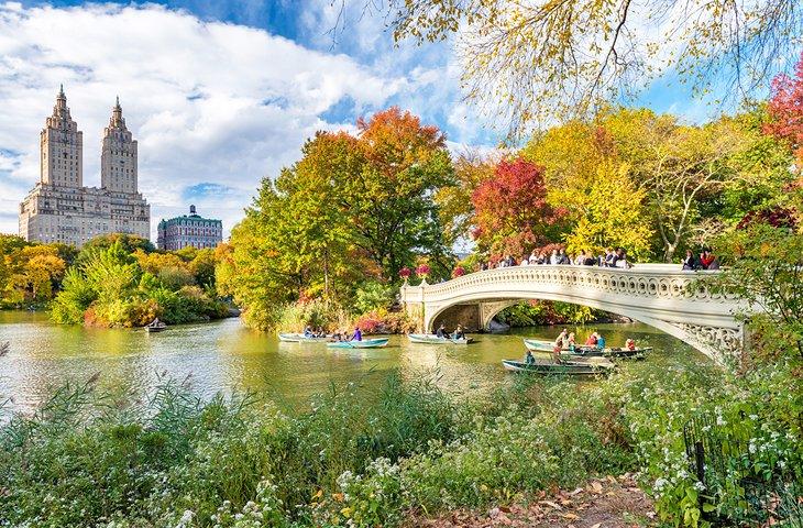 Frühling im Central Park