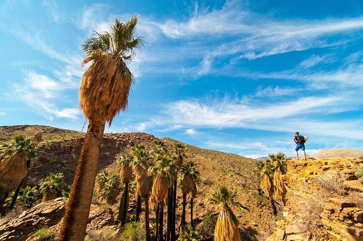 Randonneur dans les Indian Canyons de Palm Springs