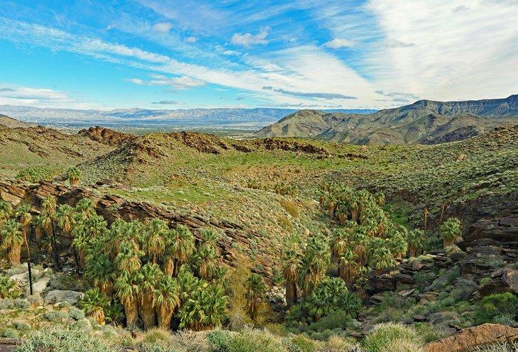 Murray Canyon