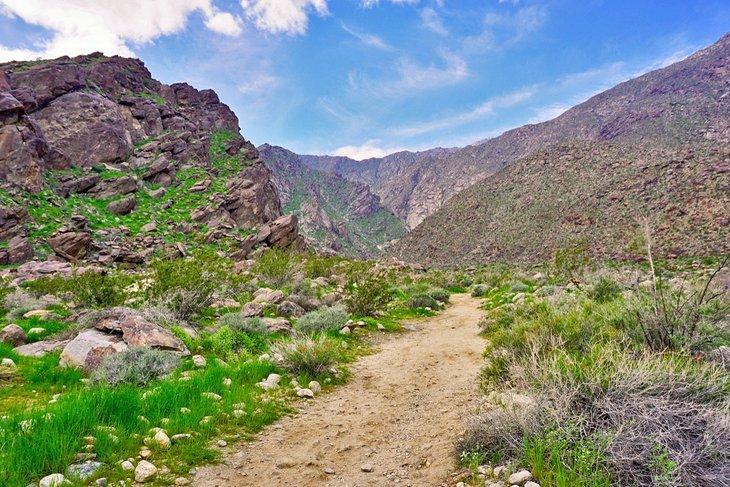 Sentier Tahquitz Canyon