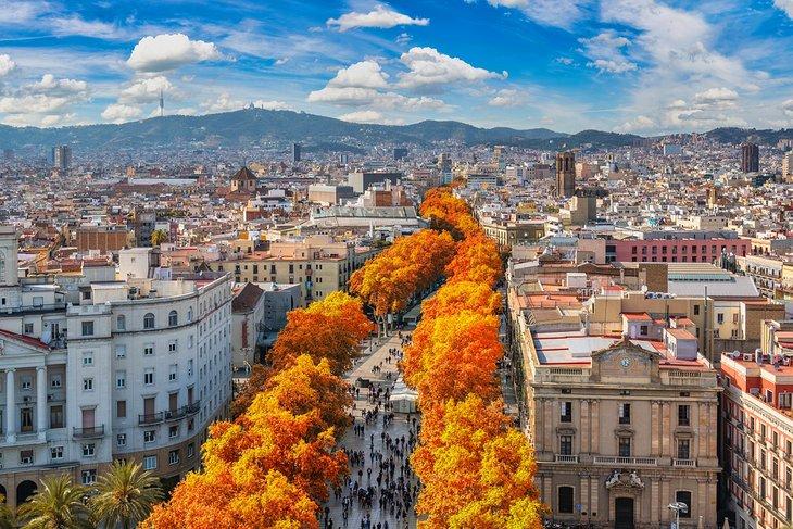 Herbstfarben entlang der La Rambla in Barcelona