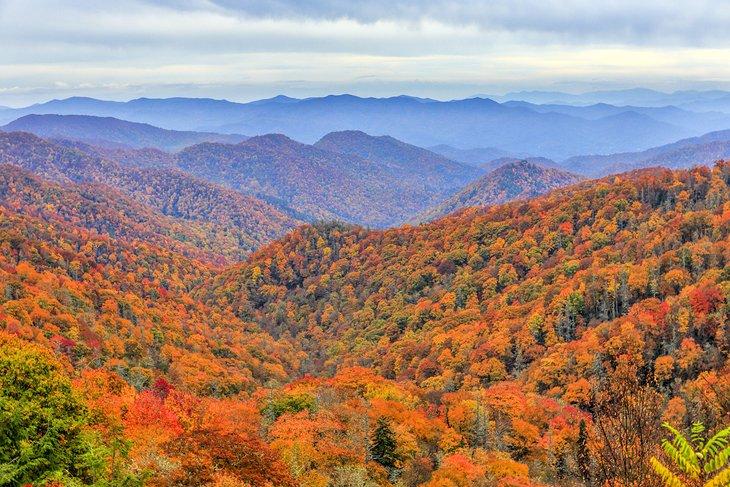 Herbstlaub im Nationalpark der Großen Smoky Mountains
