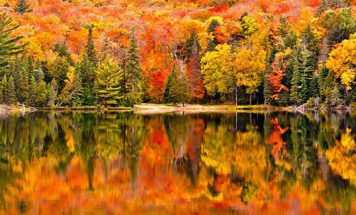 Herbstfarben im Algonquin Provincial Park