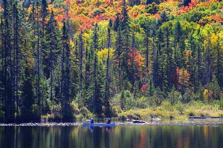 Oktober im Algonquin Provincial Park, Ontario, Kanada
