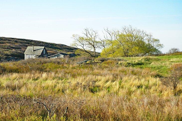Eine Hütte auf Damariscove Island