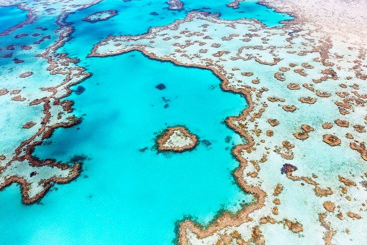 Grande Barrière de Corail, Australie