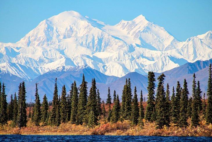 Parque Nacional de Denali