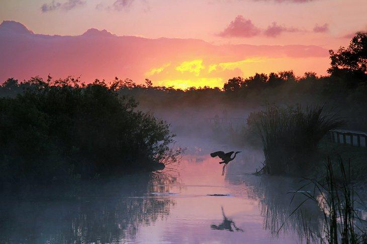 Amanecer en el Parque Nacional Everglades