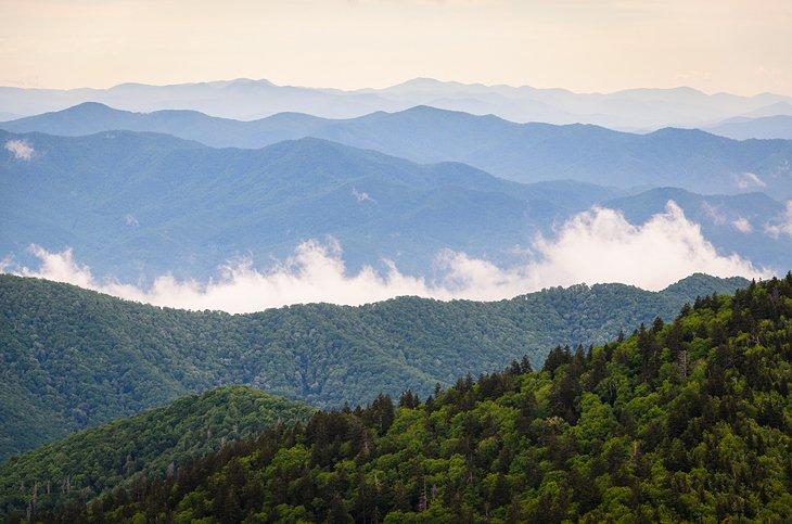 Parque Nacional Great Smoky Mountains