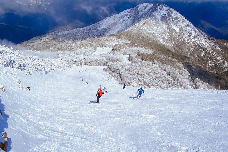 Little Buller Spur bei Mt Buller