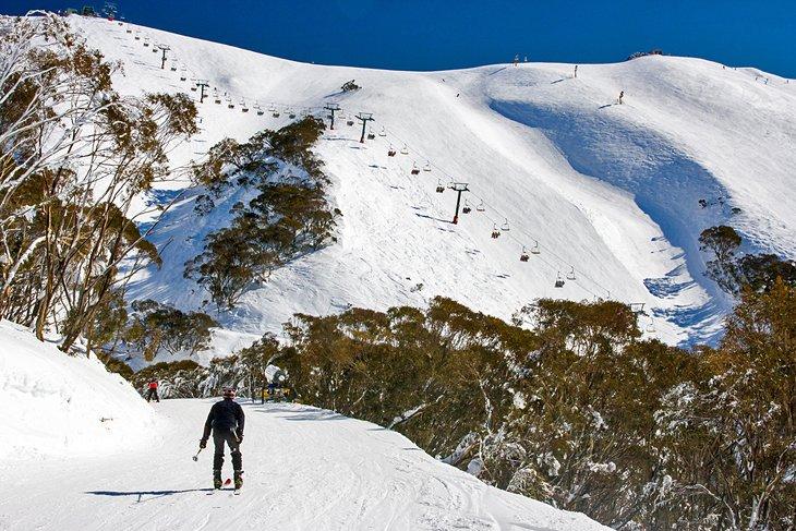 Mt. Hotham, Nationalpark der Australischen Alpen