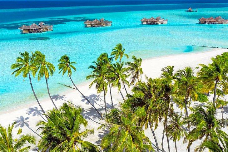Source de la photo : Gili Lankanfushi