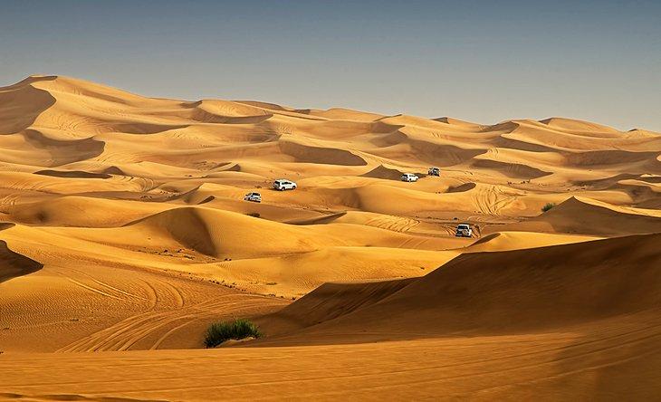 Un safari en el desierto