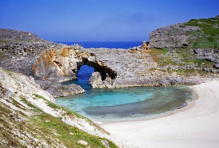 Île de Chichijima, îles Ogasawara