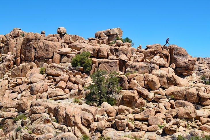 Parque Nacional Joshua Tree