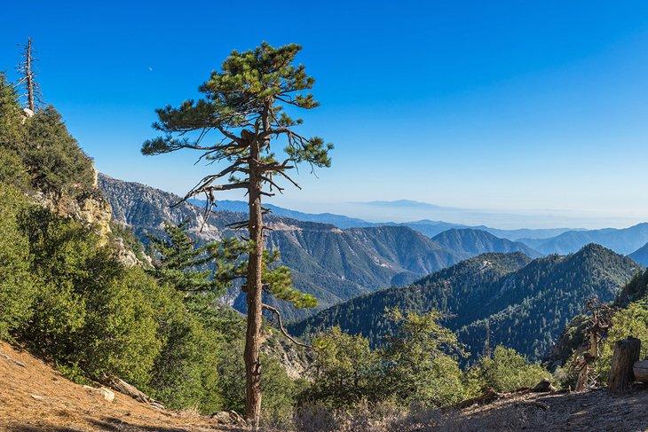 Vista sobre el Bosque Nacional de Angeles