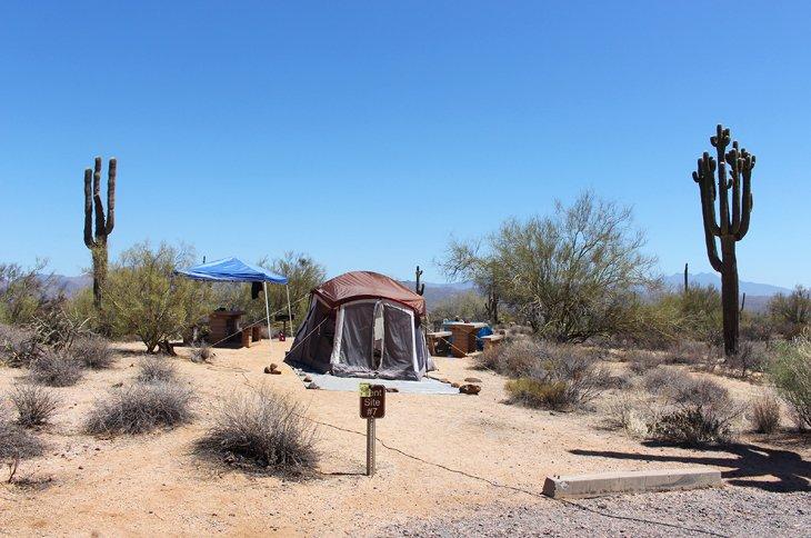 Campamento del Parque Regional McDowell Mountain