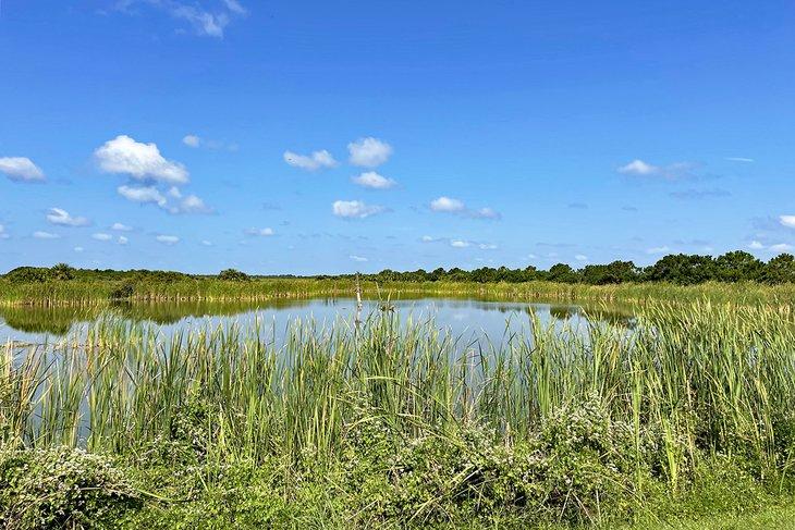 Ritch Grissom Memorial Wetlands