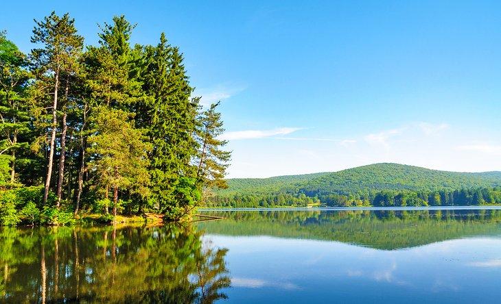 Allegany State Park