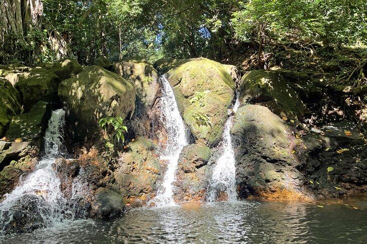 Ginger Pool