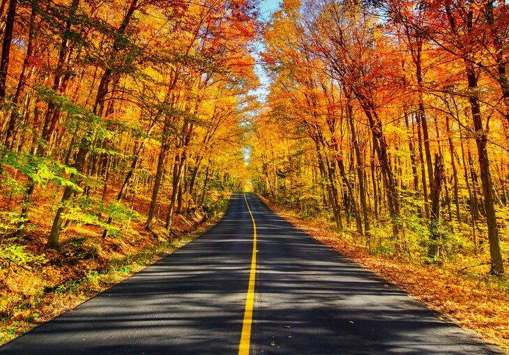 Automne aux lacs de Muskoka