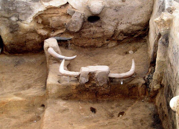 Cuernos de toros en Catalhoyuk
