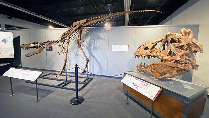 Museo de Historia Natural de Quinte