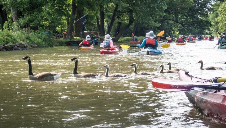 Rivière Schuylkill