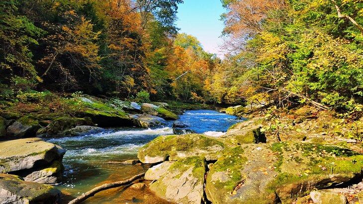Gorge de Slippery Rock Creek