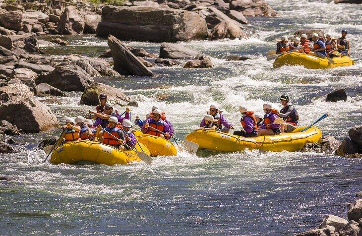 Rafting en aguas bravas en el río Gallatin