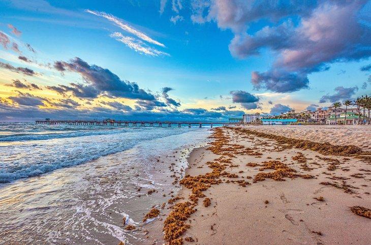 Vista del Muelle Internacional de Pesca al atardecer