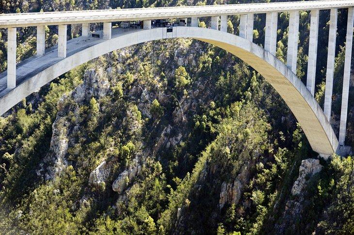 Bungee Bloukrans