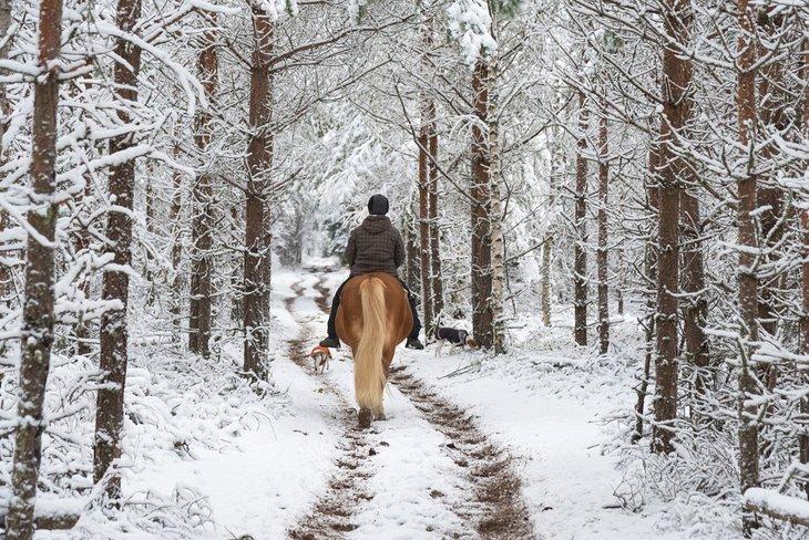Montando a caballo por la nieve
