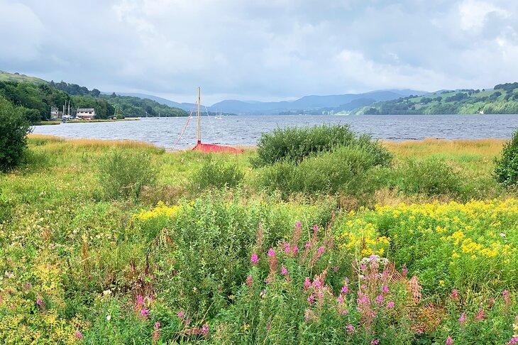 Lac Bala