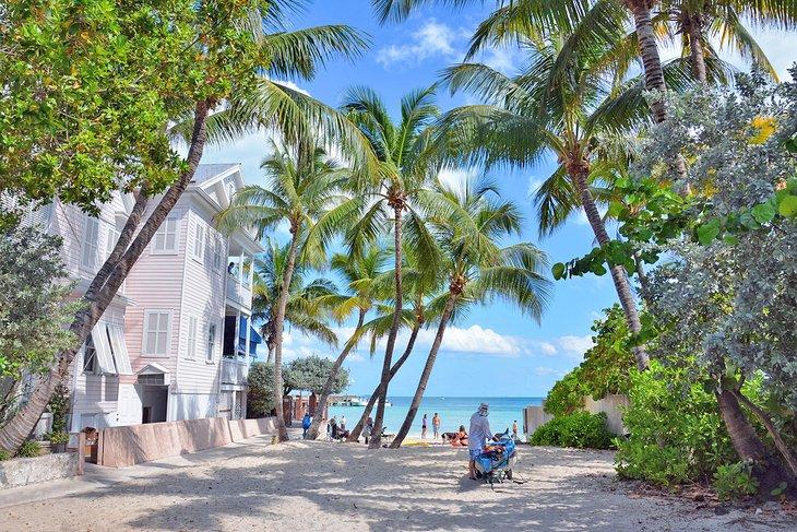 Chemin vers la plage pour chiens de Key West