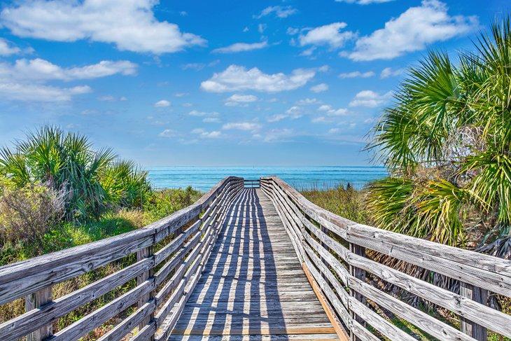 Chemin vers la plage pour chiens de Honeymoon Island State Park
