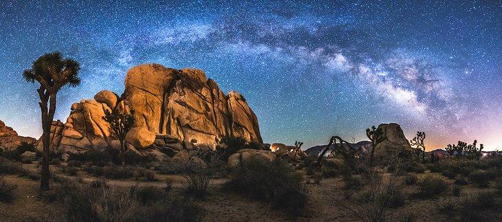 La Voie lactée au-dessus de Joshua Tree