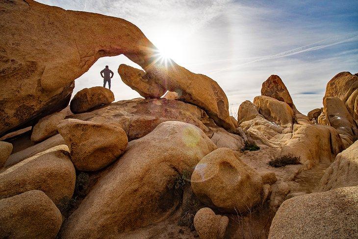 Arch Rock au parc national de Joshua Tree