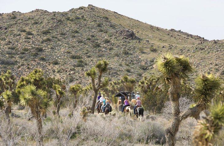 Équitation au camping Black Rock dans le parc national de Joshua Tree