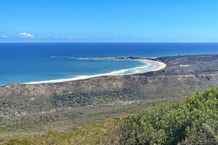 Playa de Buffalo Bay