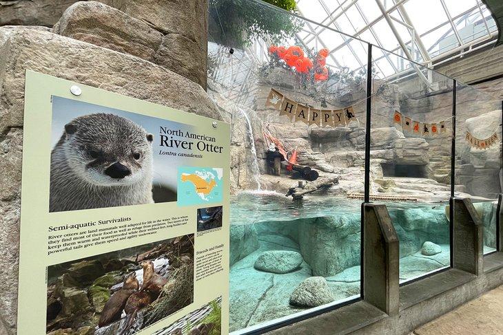 El Acuario de Tennessee